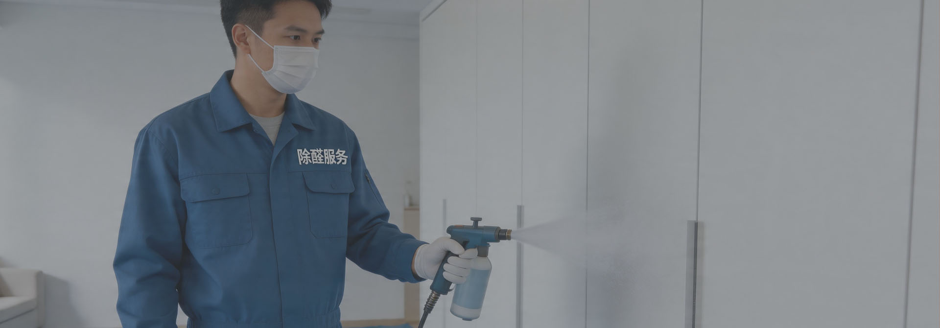除醛净味，护你安康